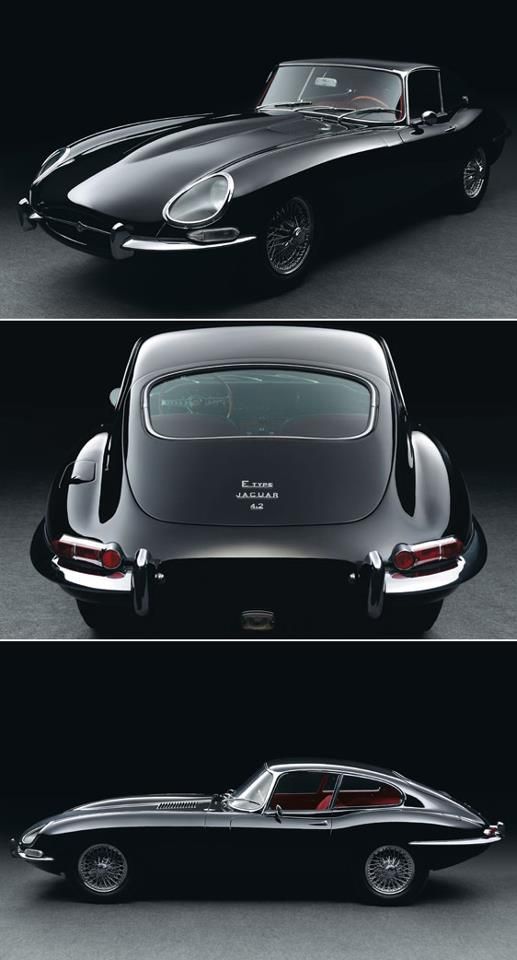 Black Jaguar, Black Beauty