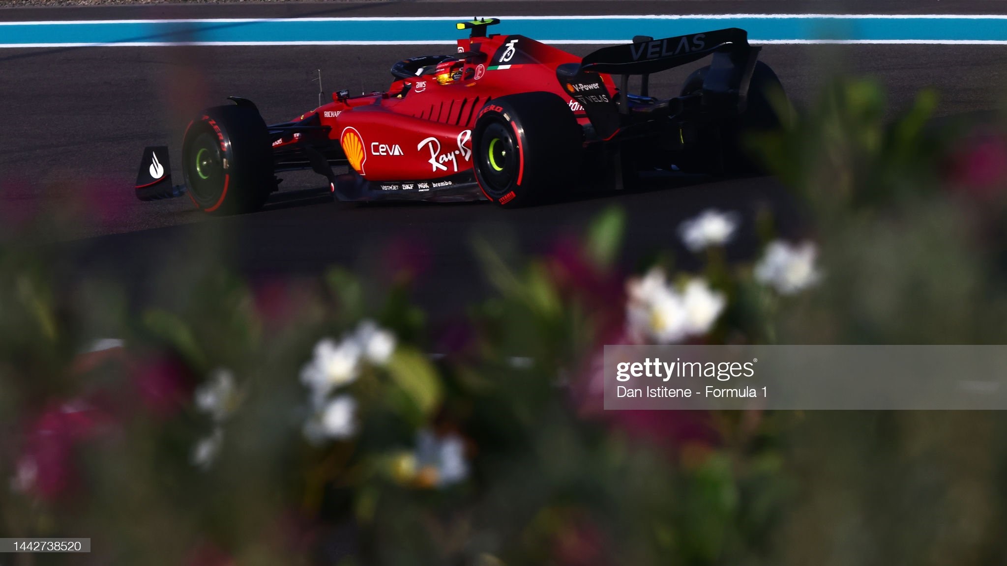 Carlos Sainz of Spain driving (55) the Ferrari F1-75 on track.
