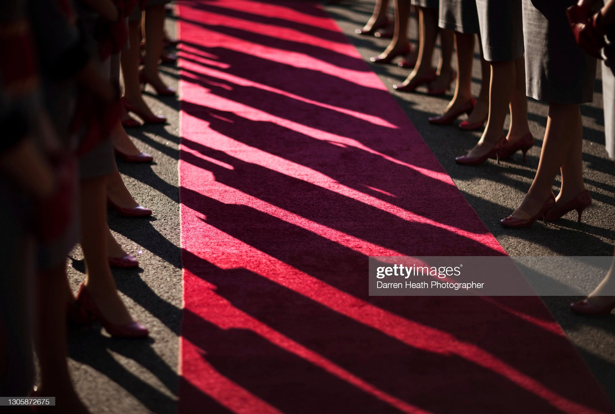 Etihad stewardesses lining the Formula One Drivers' Parade red carpet before the 2011 Abu Dhabi Grand Prix.