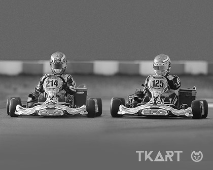 Two karts in action.