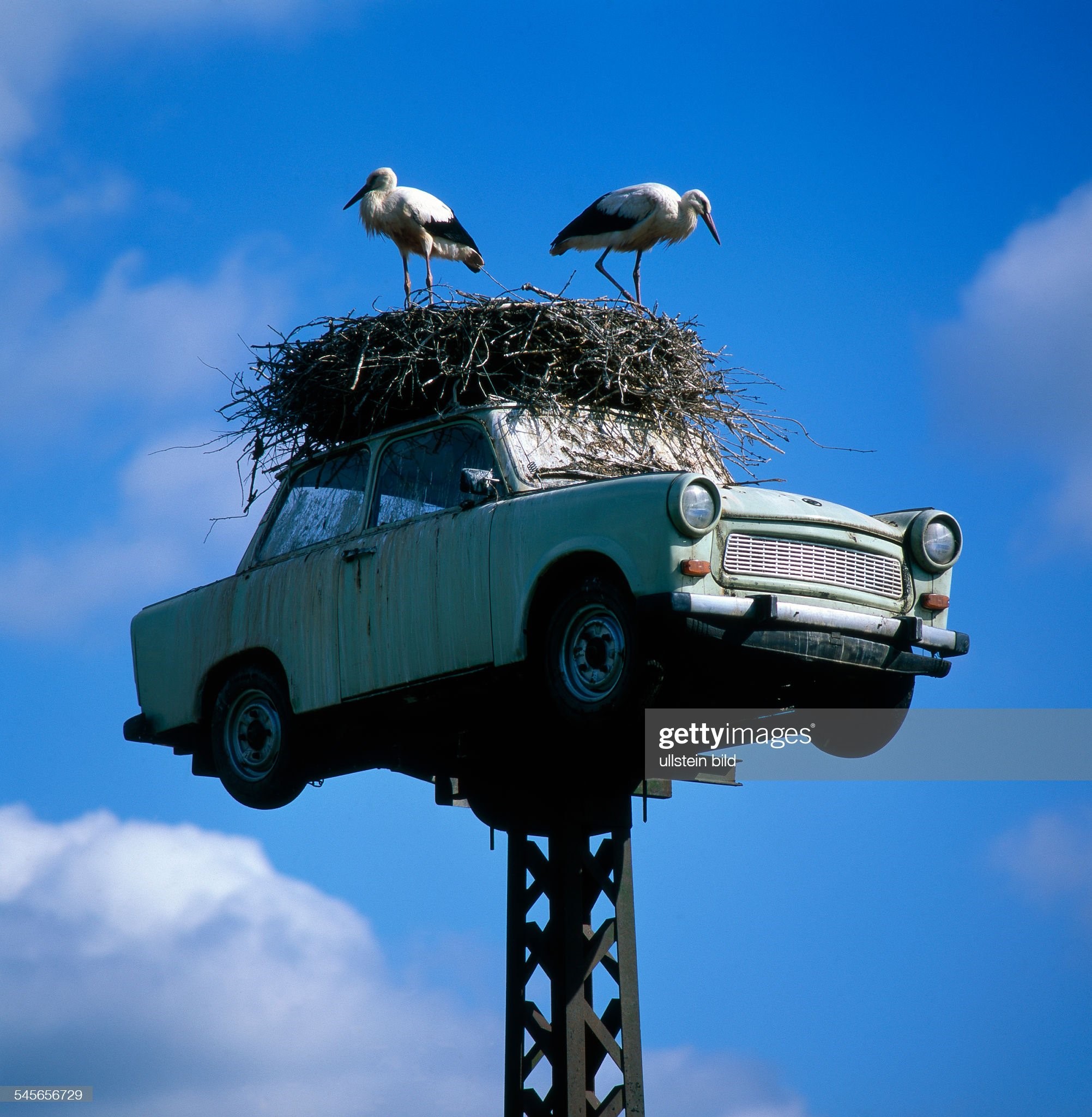 Germany, Neuruppin: storks in their nest on an old car ‘Trabant’.