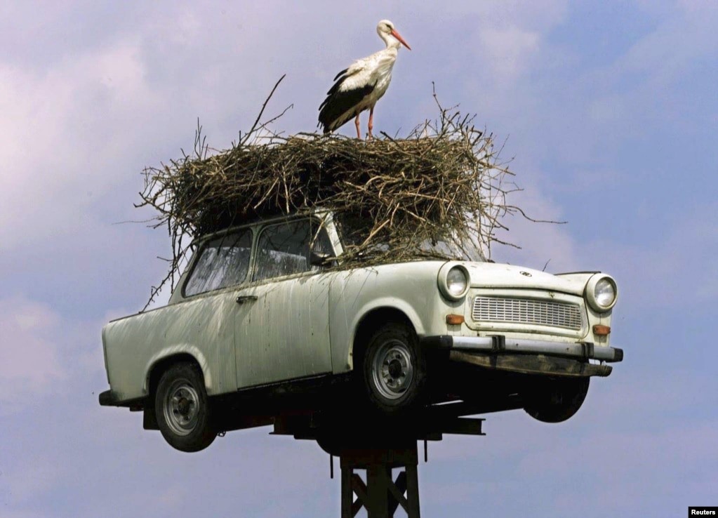 Some Trabants took on odd new careers, like this famous Trabi stork nest in the eastern German town of Neuruppin ...