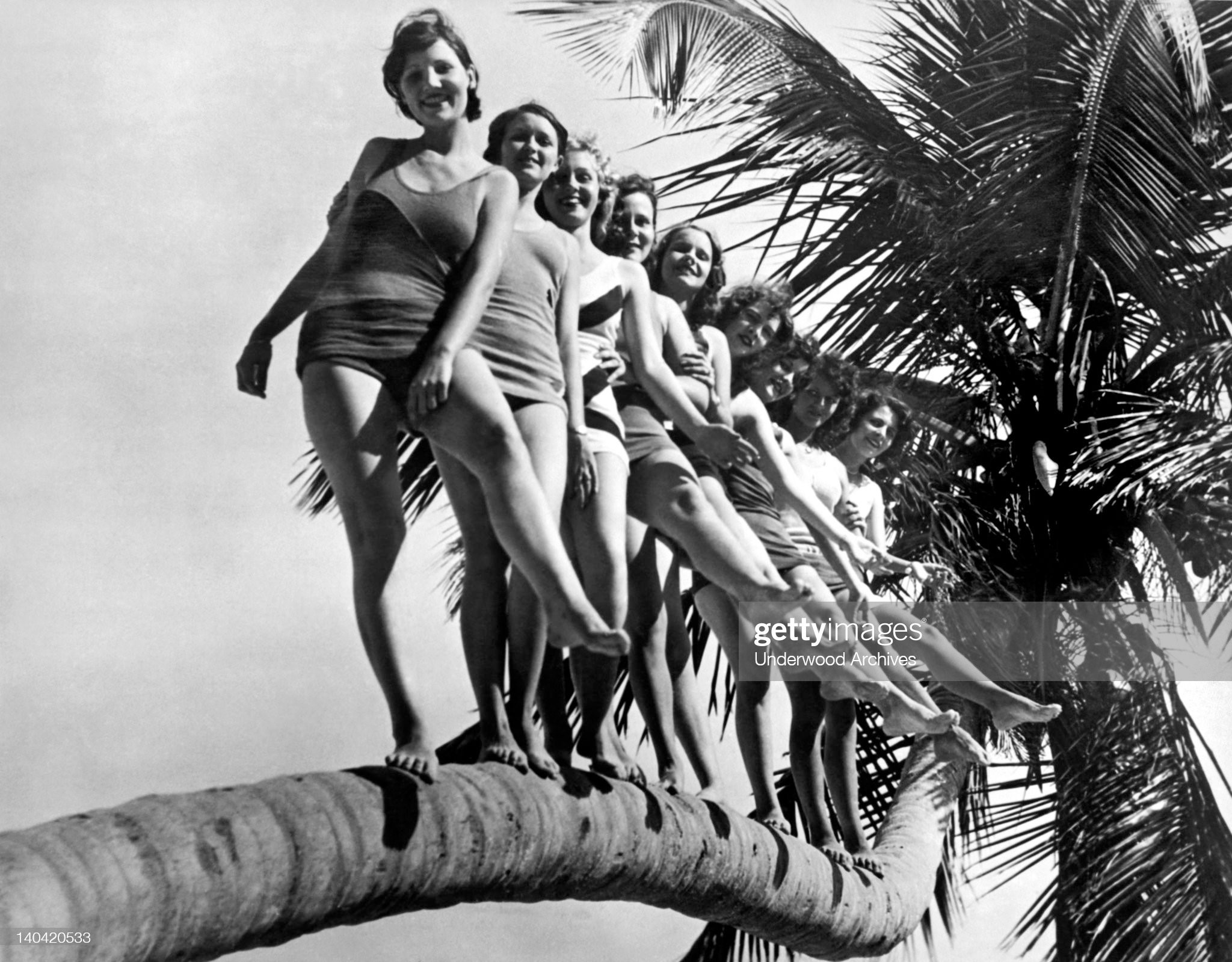 Girls from the Miami High School dancing class get their accuracy, poise and grace by having dancing practice on a goose-neck palm tree in Miami, Florida, circa 1927. 