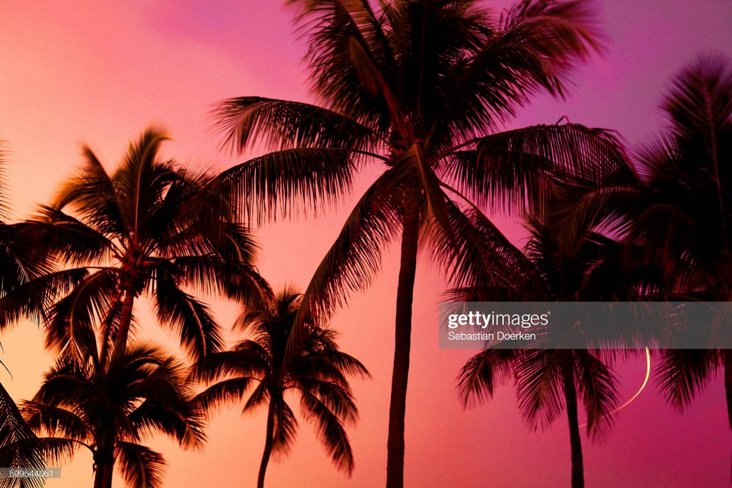 Low angle view of silhouette palm trees against sky during sunset. 