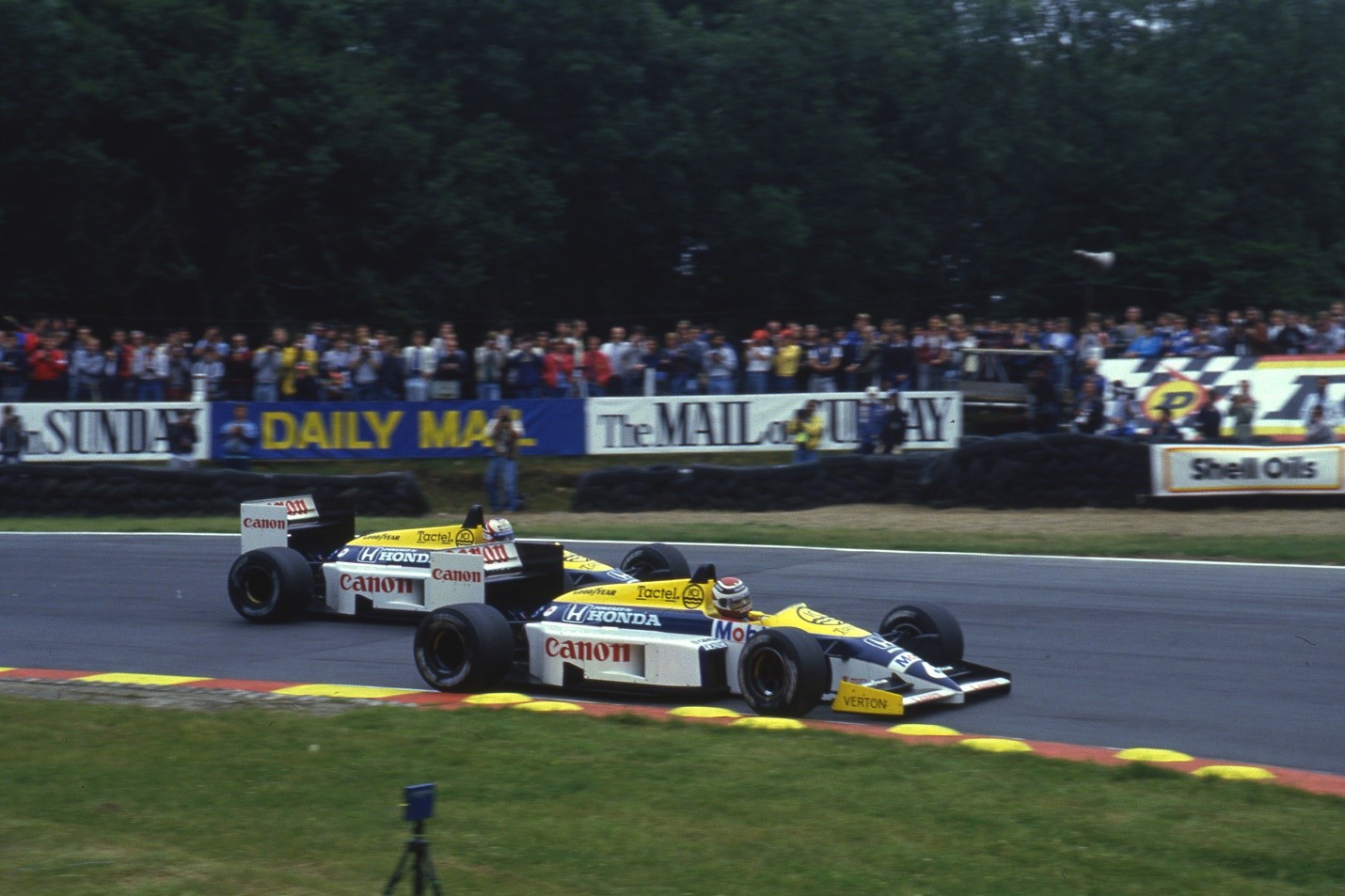 Two Williams in action.