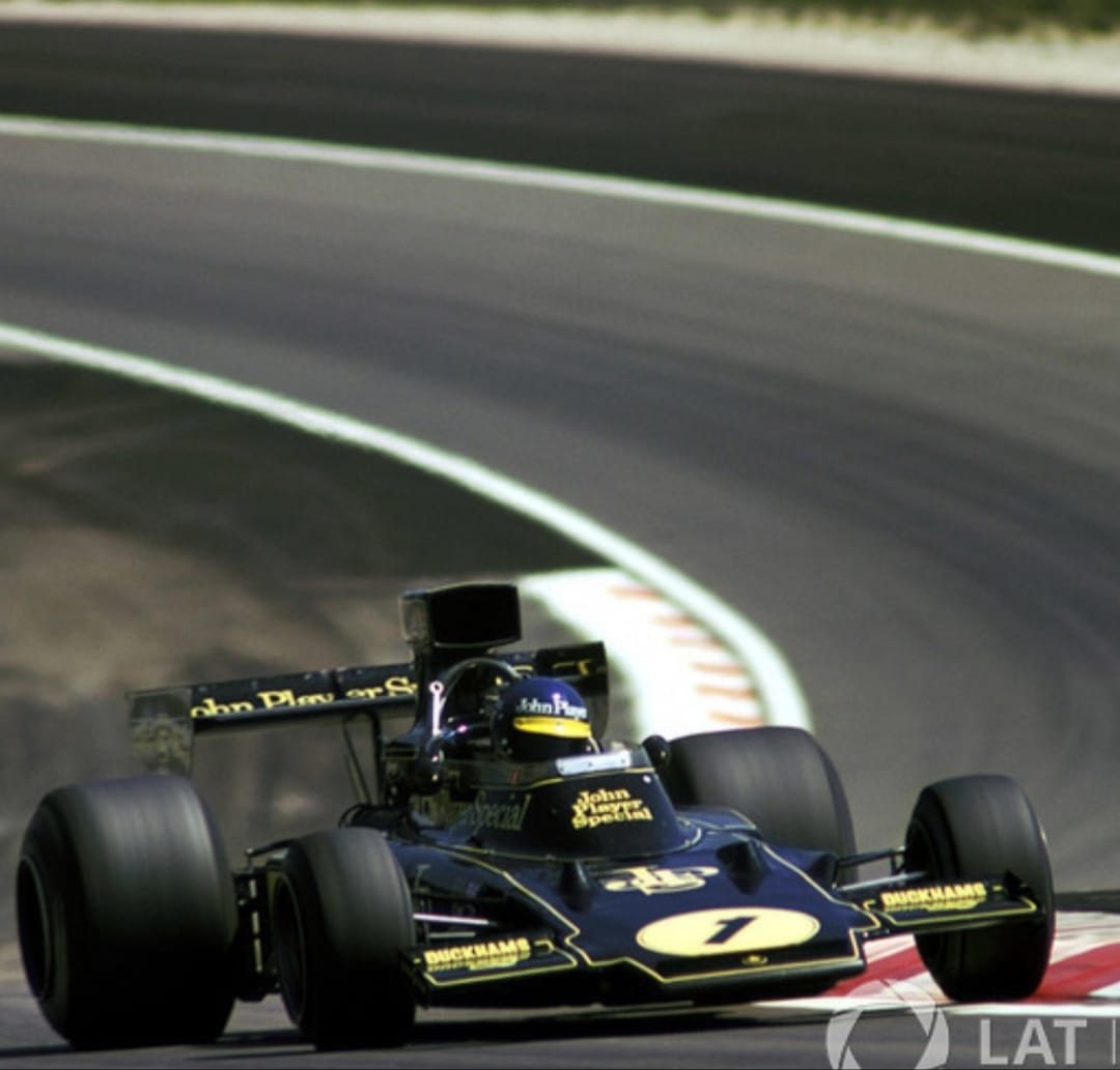 Ronnie Peterson, Lotus 72E, at the French Grand Prix in Dijon-Prenois on 07 July 1974. 