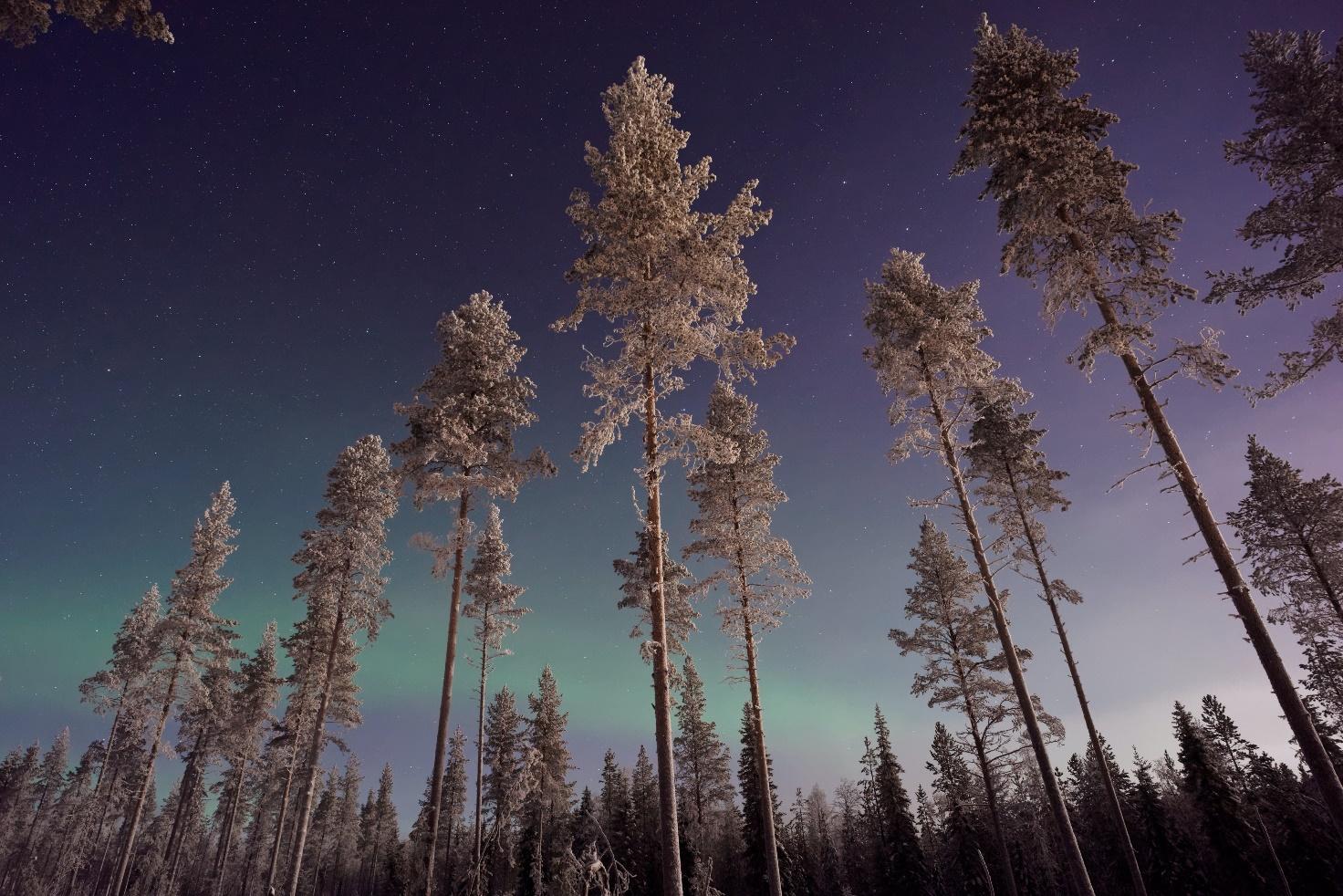 Northern lights in Finland.