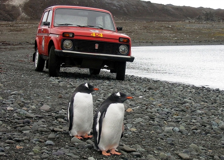A red Lada Niva and two penguins.