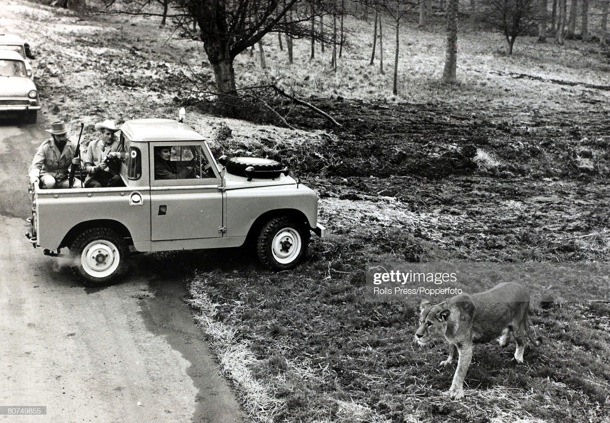 5th April 1966, the Marquess of Bath pictured with an armed guard in the back of a Land Rover at his stately home at Longleat as they carefully watch a lioness, The Longleat House estate had been turned over into a game reserve as an added attraction. 