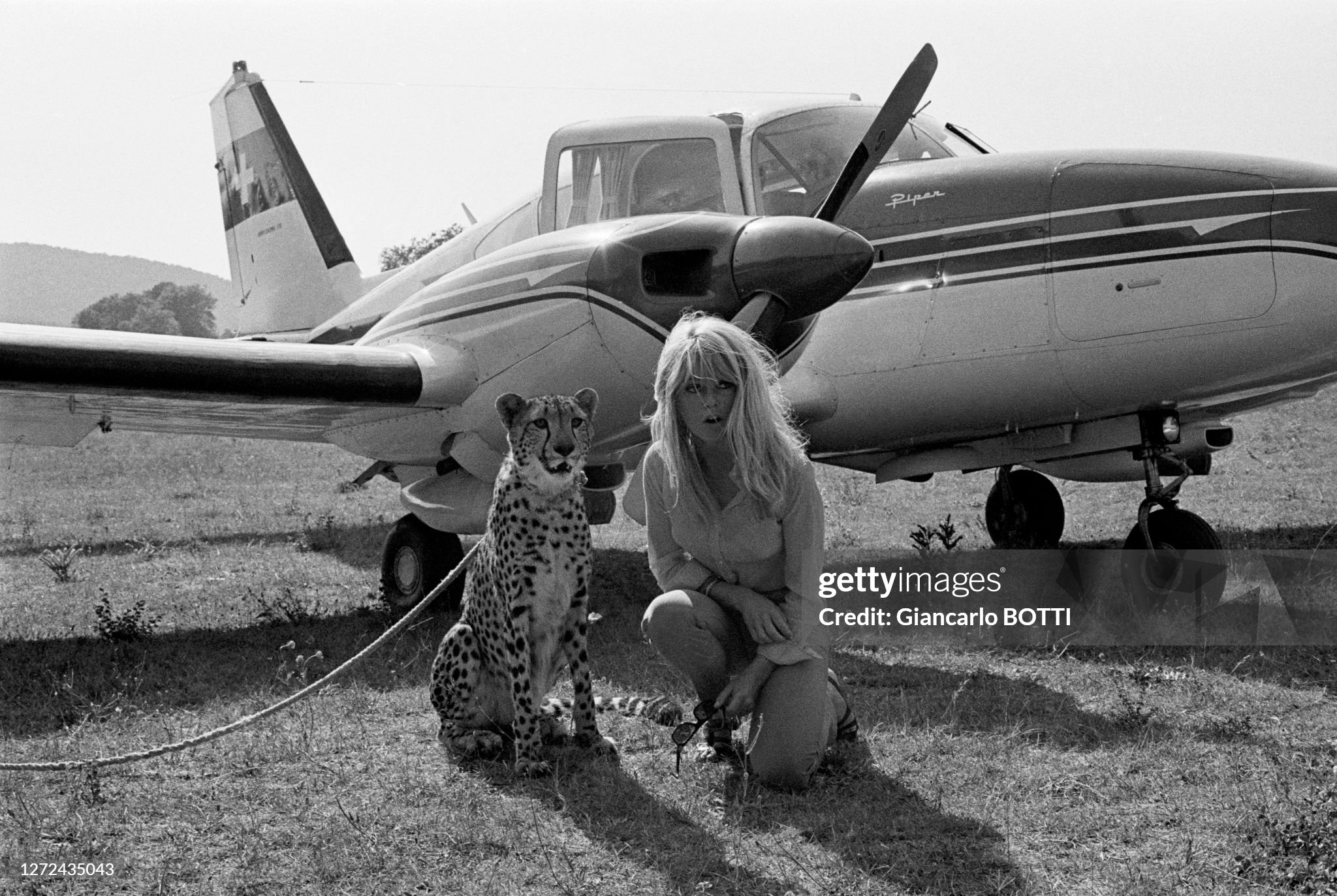 Brigitte Bardot with a cheetah next to a Piper aircraft in August 1966.