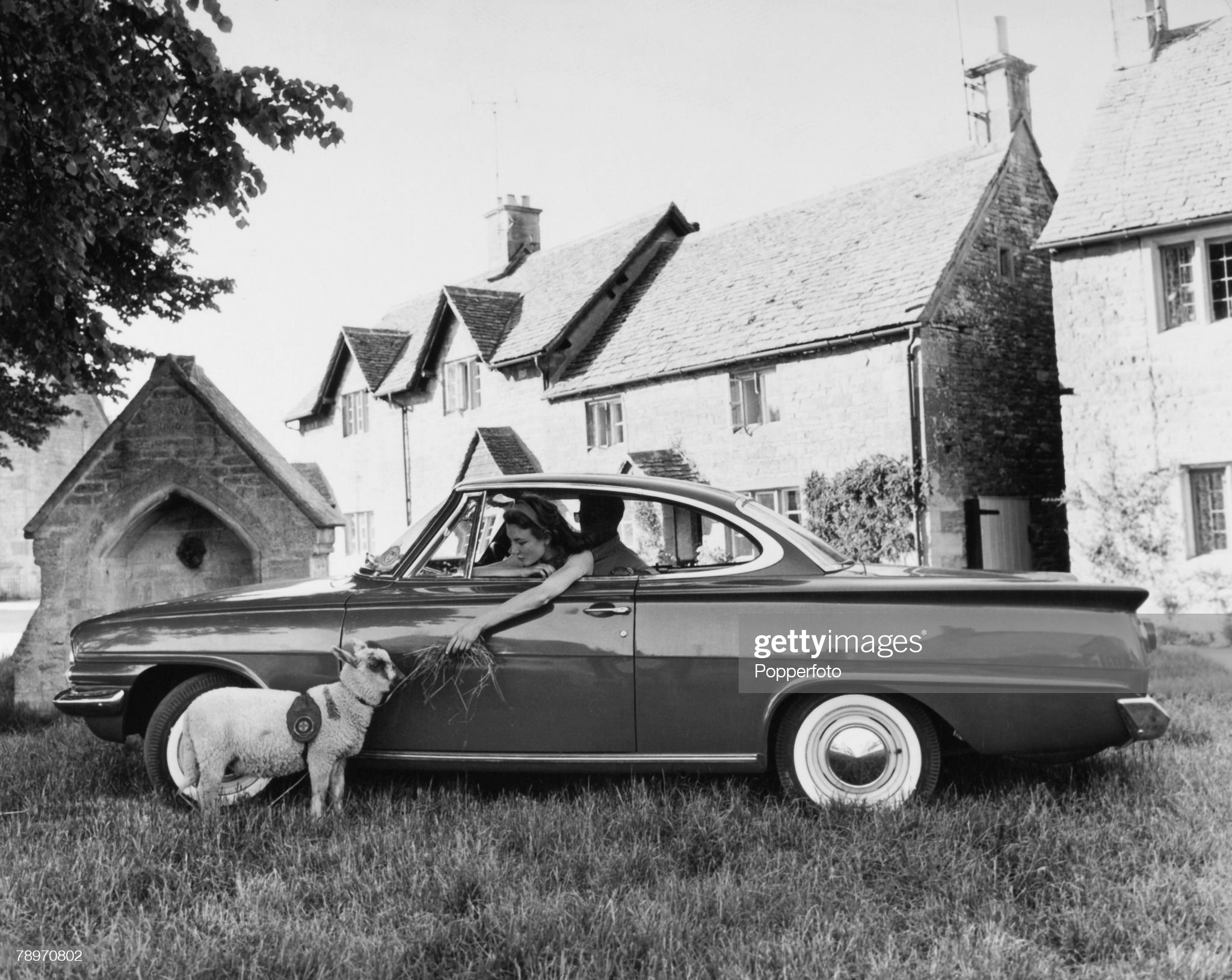 Transport, England, 1962, A girl feeds a sheep from her Ford Consul Capri, a 2 door coupe version of the Classic Saloon.