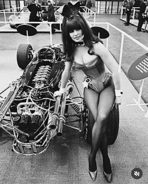 A sexy girl and a 12 cylinder engine.