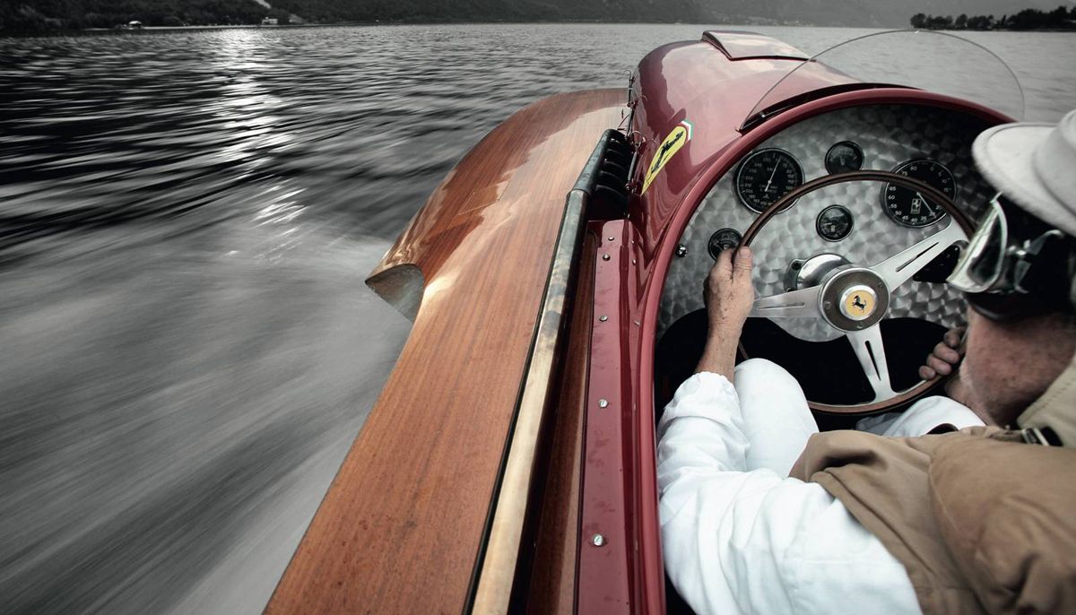 A one off swimming horse