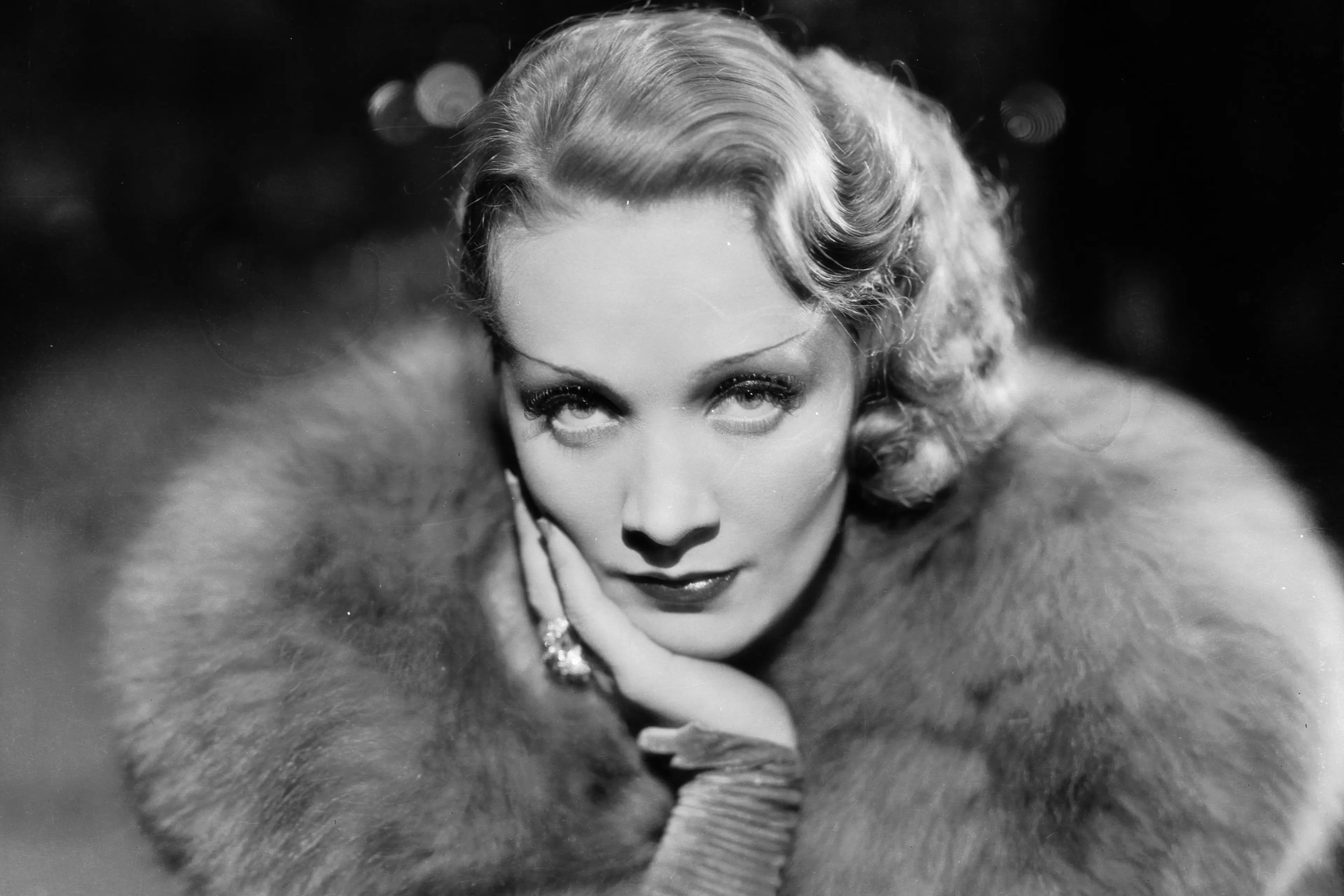 Marlene Dietrich.