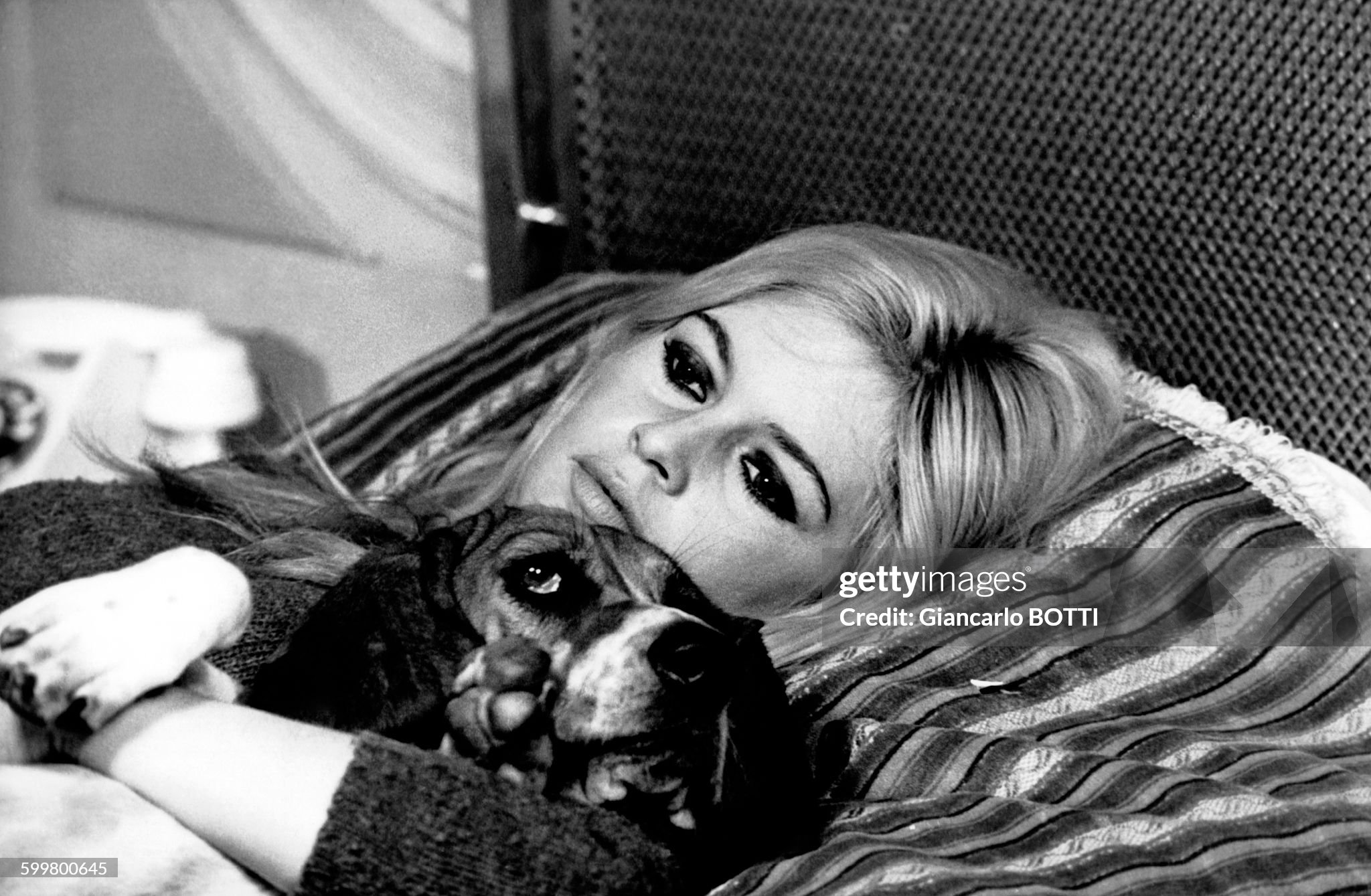 Brigitte Bardot and her dog during the filming of Serge Bourguignon's 'A coeur joie' in October 1966 in France. 