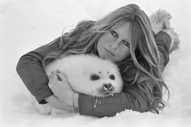 The image of Brigitte Bardot holding a baby seal dates back to 1977, when the French actress and activist traveled to Newfoundland, Canada, to protest the brutal seal hunt. 