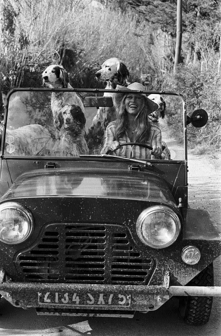 Brigitte Bardot during a joyride with her dogs in 1978.