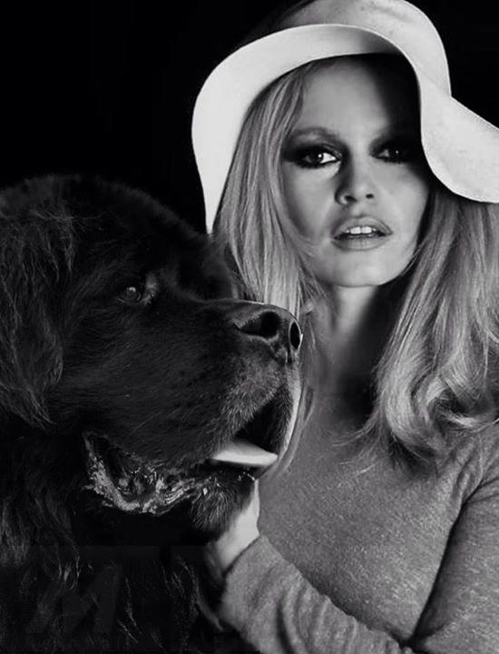 Brigitte Bardot.