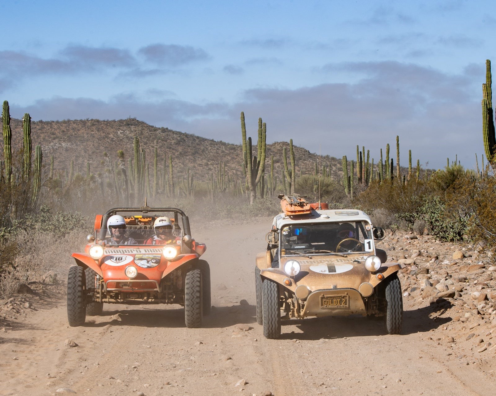 Freshly built Meyers Manx Remastered Classic Kit racing alongside Goldi 2. 