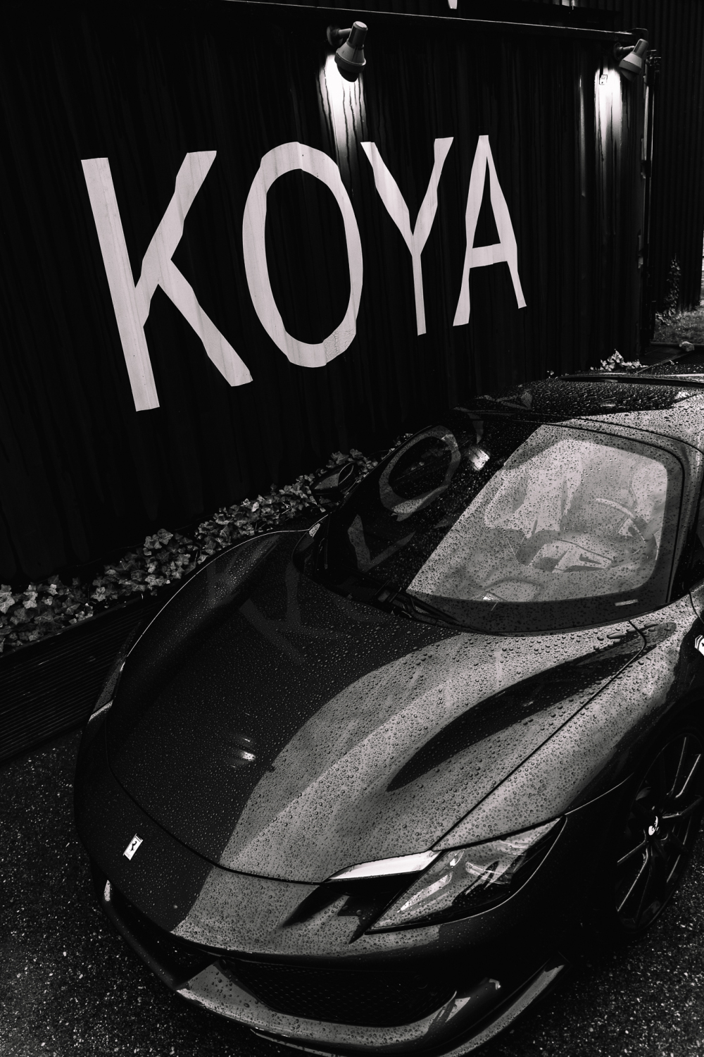 A Ferrari in front of Koya. 