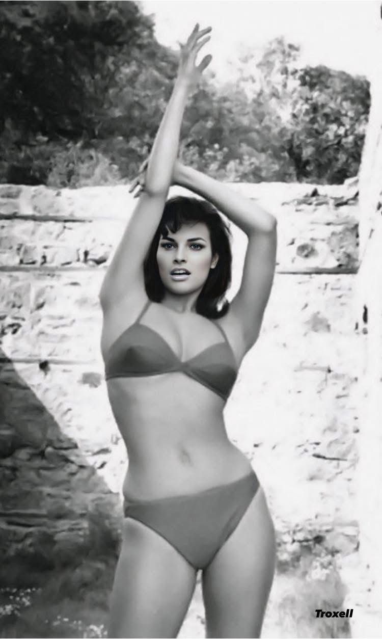 Raquel Welch in a bikini.