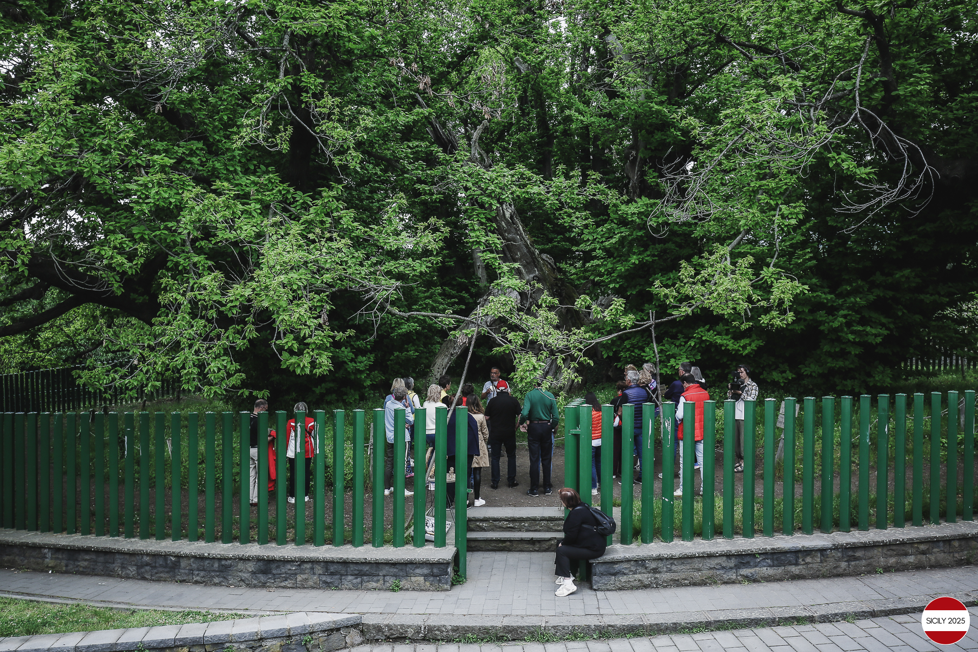 Visit to the ‘Chestnut tree of one hundred horses’. 