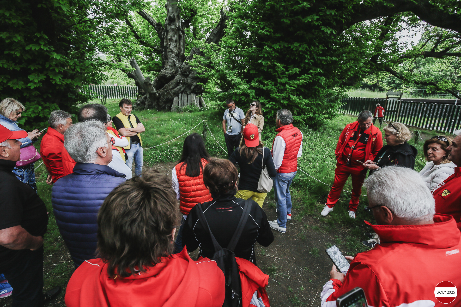 Visit to the ‘Chestnut tree of one hundred horses’. 