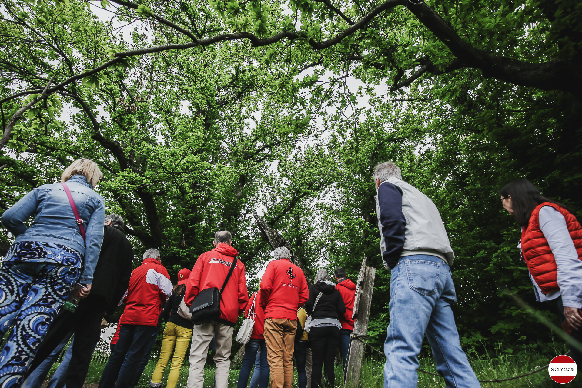 Visit to the ‘Chestnut tree of one hundred horses’. 
