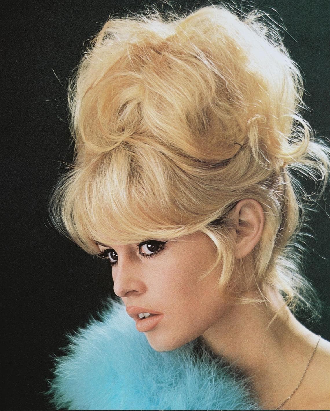 Brigitte Bardot.