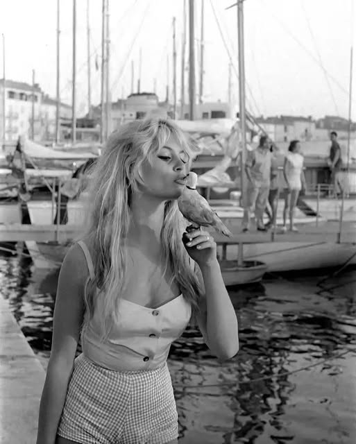 Brigitte Bardot in Saint Tropez in 1958.